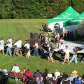 Sunset & Stars Concert 2004